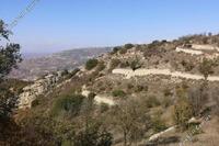 10118 SQM Land · Dora (Limassol) for sale 