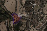 22000 SQM Land in Kalavasos (Larnaca) for sale 