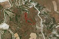1840 SQM Land · Salamiou (Paphos) for sale 