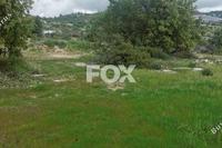11037 SQM Land in Pera Pedi (Limassol) for sale 