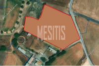 6894 SQM Land in Psimolofou (Nicosia) for sale 
