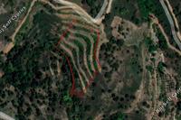 6021 SQM Plot in Agioi Vavatsinias (Larnaca) for sale 