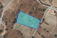 4710 SQM Land in Pyrgos Limassol (Limassol) for sale 