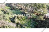 2546 SQM Land in Agios Theodoros Larnacas (Larnaca) for sale 