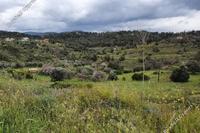 27091 SQM Land in Kapedes (Nicosia) for sale 