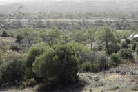 112526 SQM Land in Foinikaria (Limassol) for sale 