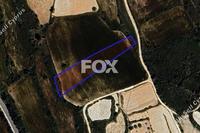 4014 SQM Land in Kathikas (Paphos) for sale 