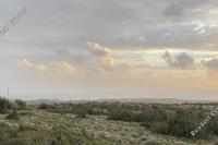 2907 SQM Plot in Peyia (Paphos) for sale 