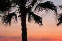 1620 SQM Plot in Anavargos (Paphos) for sale 