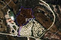 4220 SQM Land · Kritou Tera (Paphos) for sale 
