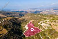 10368 SQM Land · Kritou Tera (Paphos) for sale 