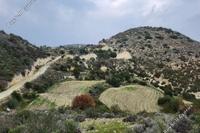 8362 SQM Land in Choirokoitia (Larnaca) for sale 