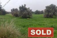 1505 SQM Land · Anglisides (Larnaca) for sale 