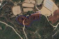 5352 SQM Land · Kellaki (Limassol) for sale 