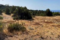 1247 SQM Plot in Secret Valley (Paphos) for sale 