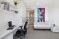 1 Bedroom Apartment in Aglantzia (Nicosia) to rent 