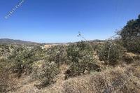 4076 SQM Land in Xyliatos (Nicosia) for sale 