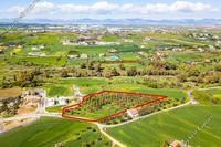 9309 SQM Land in Dali (Nicosia) for sale 