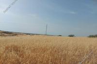 9700 SQM Land · Astromeritis (Nicosia) for sale 