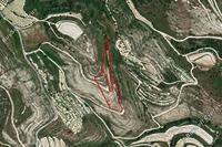 10034 SQM Land · Tsada (Paphos) for sale 