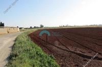 17325 SQM Land · Avgorou (Famagusta) for sale 