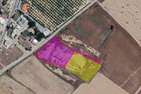 12426 SQM Land · Meneou (Larnaca) for sale 