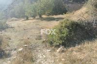 9435 SQM Land in Pyrgos Limassol (Limassol) for sale 