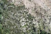 6355 SQM Land · Gerasa (Limassol) for sale 