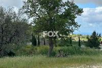 526 SQM Plot · Armou (Paphos) for sale 