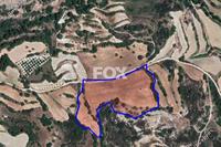20068 SQM Land in Polemi (Paphos) for sale 