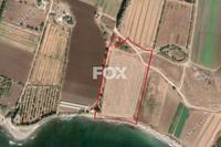 24081 SQM Land · Timi (Paphos) for sale 
