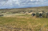 3345 SQM Land · Peristerona Lefkosias (Nicosia) for sale 
