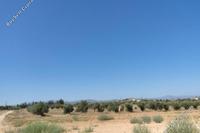 8891 SQM Land · Psimolofou (Nicosia) for sale 