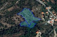 12637 SQM Land in Kakopetria (Nicosia) for sale 