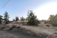 16724 SQM Land in Agios Georgios Kafkallou (Nicosia) for sale 