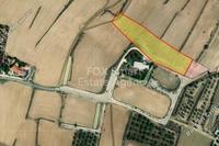 4125 SQM Plot in Pera Orinis (Nicosia) for sale 