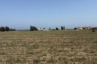 4856 SQM Land in Kiti (Larnaca) for sale 