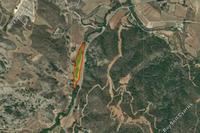 10034 SQM Land in Mosfiloti (Larnaca) for sale 