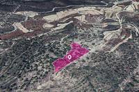 8696 SQM Land in Agios Therapon (Limassol) for sale 