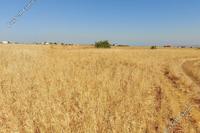 1673 SQM Land in Orounta (Nicosia) for sale 