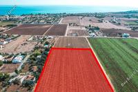 14322 SQM Land in Pervolia (Larnaca) for sale 