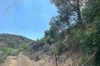 16900 SQM Land · Lythrodontas (Nicosia) for sale 