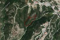 19064 SQM Land in Tsada (Paphos) for sale 