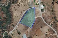 7106 SQM Land in Parekklisia (Limassol) for sale 