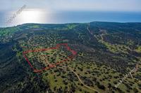 40135 SQM Land · Pissouri (Limassol) for sale 