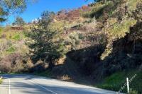 14000 SQM Land in Farmakas (Nicosia) for sale 