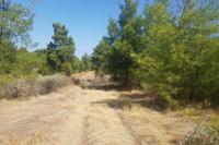 13045 SQM Land in Katydata (Nicosia) for sale 