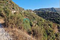 8027 SQM Land in Dora (Limassol) for sale 
