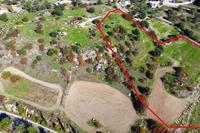 11706 SQM Land in Peristerona Pafou (Paphos) for sale 