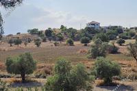 2425 SQM Land · Lympia (Nicosia) for sale 